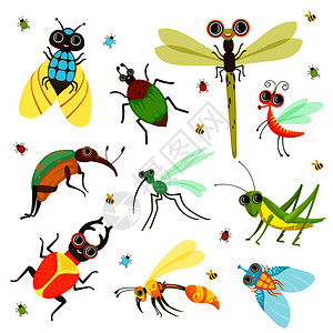 无脊椎卡通风格各种昆虫蝴蝶设计图片