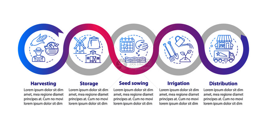 农业商展示设计要素数据可视化包括5个步骤和选项农业流程图具有线标的工作流程布局病媒信息图片