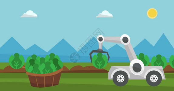 小型机器人机器人在农田里采摘卷心菜卡通矢量插画插画