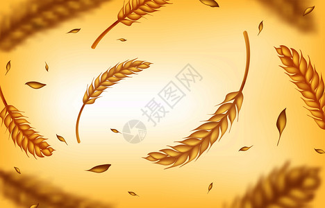 小麦漂浮农业背景矢量元素图片
