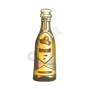 伏特加玻璃瓶带有空白标签的玻璃瓶并设计了用于在墨西哥生产的古典酒精饮料薄膜伏特加由仙人掌颜色图解制成彩色传统墨西哥龙舌兰饮料瓶矢量插画
