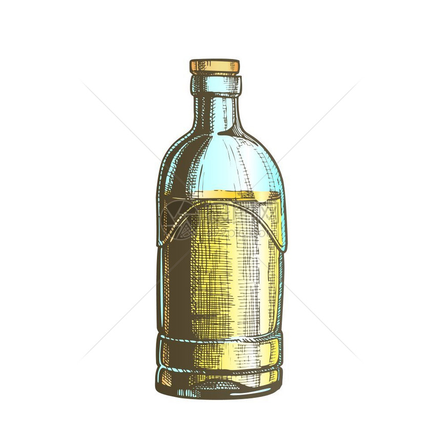 标准封闭饮料龙舌兰玻璃瓶矢量用于传统墨西哥酒精饮料的空现代风格套件草图彩色插标准饮料图片