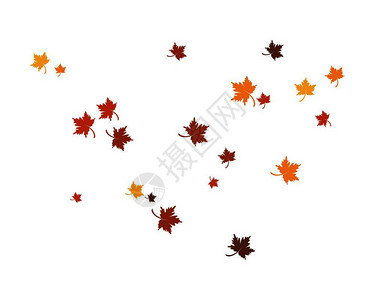 秋叶矢量背景元素背景图片
