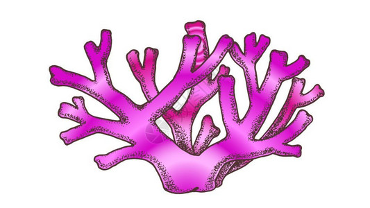 粉色手绘珊瑚礁卡通矢量插画图片