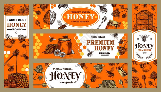 蜂蜡或罐贴纸蜜饲养者生态美食品广告销售标签或小册子矢量收集蜂标健康糖果天然蜜蜂罐和农场产品背景图片