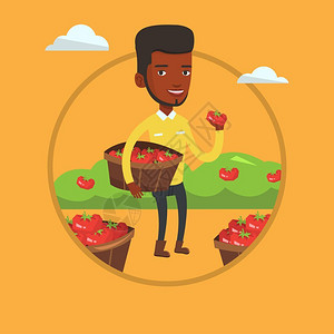 拿着篮子采摘番茄的非洲男农民卡通矢量插画图片