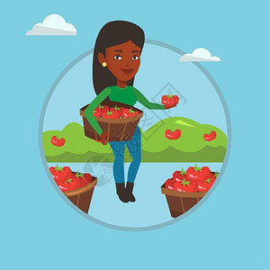 拿着篮子采摘番茄的非洲女农民卡通矢量插画图片