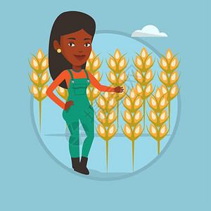 在小麦田里工作的非洲女农民卡通矢量插画图片
