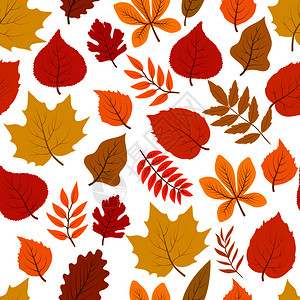 秋天叶子无缝重复元素背景插图图片