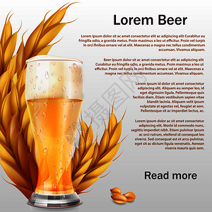 大麦啤酒农业谷物大麦和啤酒矢量元素插画