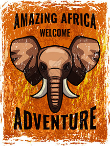 非洲大象插图海报模板图片