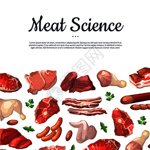 肉类矢量海报图片