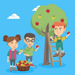 三个在苹果园里摘苹果的小朋友们图片