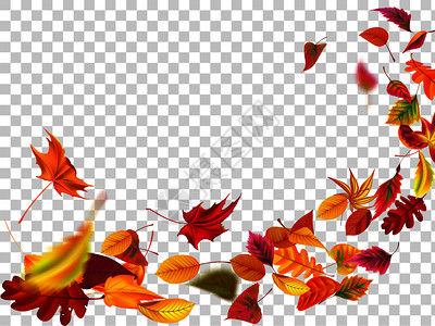 秋天金色叶子边框秋天叶子矢量边框插图插画