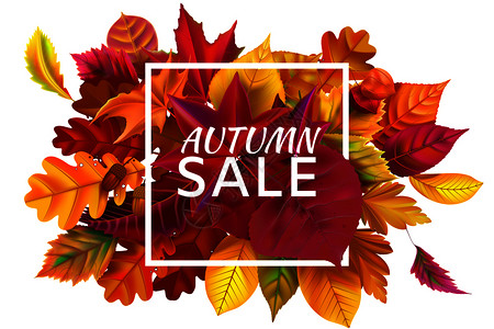 秋季销售折扣和落叶标语框广告矢量插图背景图片