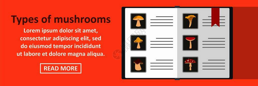 昂贵的黑松露包含蘑菇和本子元素的网页插图插画