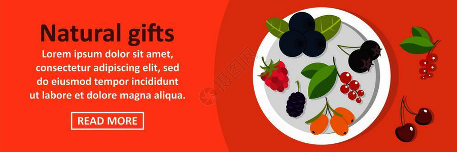 美国无籽青提包含多种果实和叶子元素的网页插图插画