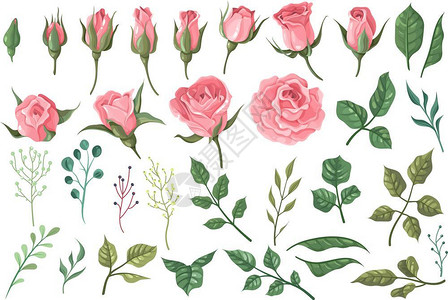 粉红色玫瑰花浪漫婚礼装饰品贺卡元素背景图片