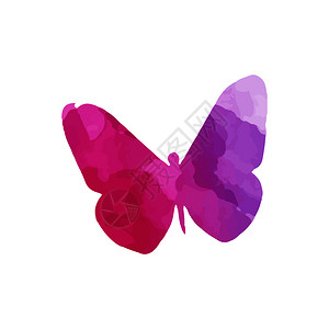 彩色蝴蝶多色水彩矢量图图片