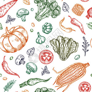 胡萝卜南瓜有机农场食物矢量蔬菜背景设计图片