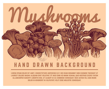素食海报复古风格秋天蘑菇背景插画