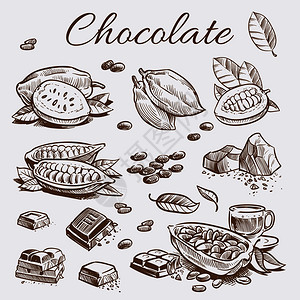 手工现磨咖啡收集巧克力元素手工绘制可豆巧克力条和树叶矢量说明巧克力元素收集手绘制可豆插画