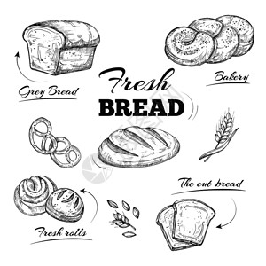 手工制作面包手工绘制面包店咖啡厅菜单矢量模板面包和早餐草图插矢量模板插画