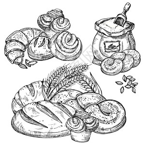 羊角豆矢量面包产品插画