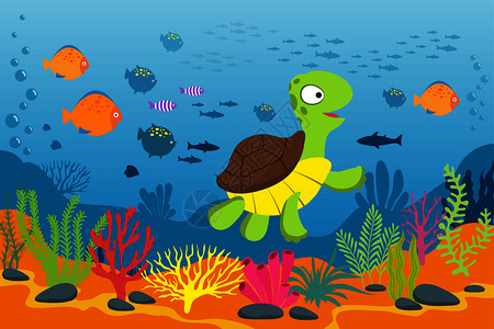 水下海龟生物藻类和鱼图片