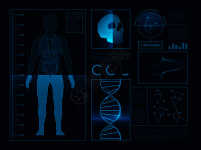 身体数据健康信息图的数码抽象解网络uihd科学与人类健康矢量的图片网络ui图片插画