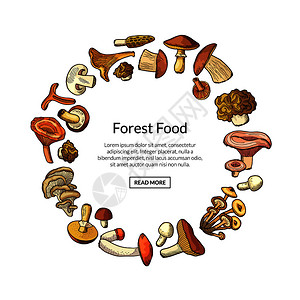 食物中间的以圆形手工绘制蘑菇在中间插图放文字位置插画