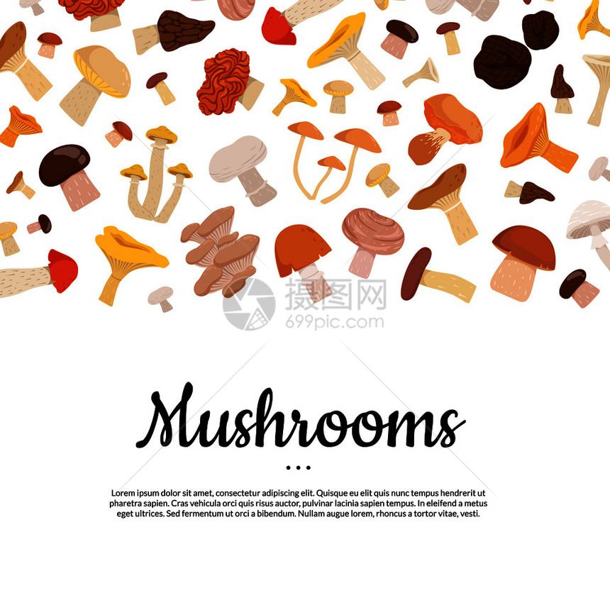 卡通蘑菇背景和文本插图图片
