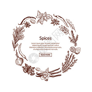 香料植物以圆形方式手工提取草药和香料将文字放在中间插图的位置设计图片