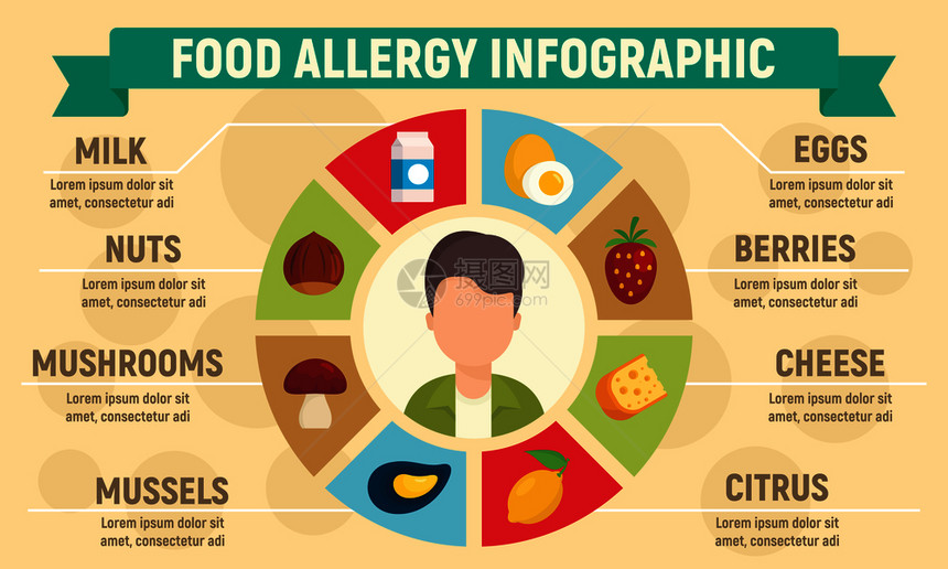 食物过敏病媒信息图的平面用于网络设计图片