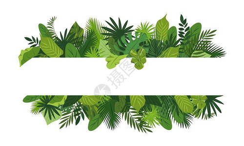 卡通热带植物背景设计图片
