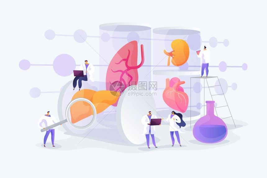 实验室培育器官矢量插图图片