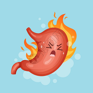 腹部保养心脏病消化胃和食道部问题插画