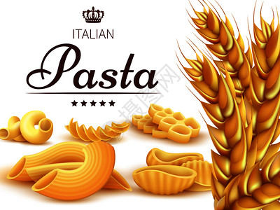 里加托尼皇家意大利面食背景或小麦海报横幅和意大利面背景或小麦海报插画