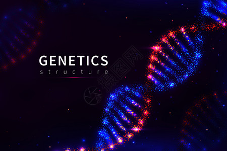 dna背景遗传结构生物技术3d人类基因组3d人类病媒示范海报结构模型分子螺旋遗传dna背景示范矢量海报背景图片