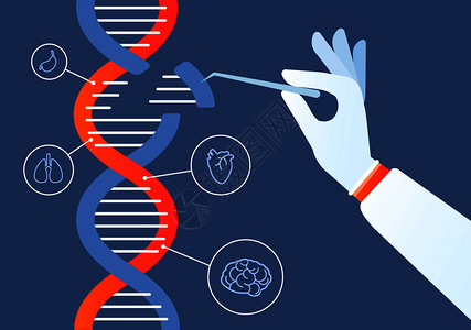 圣彼得排序dna工程crispa9基因突变编码修改人类生物化学和染色体研究矢量概念基因工程说明突变编码遗传基因组crispa9设计图片