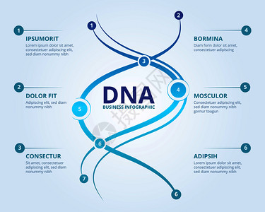 dna信息量螺旋人类生物学结构载体医科概念供您使用化学信息量结构图解信息量图载体医学科概念文本的位置插画