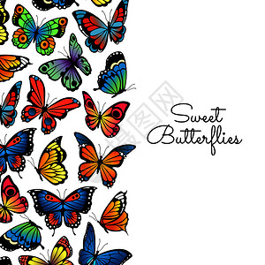 矢量装饰蝴蝶背景插图和海报图片