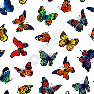 矢量装饰蝴蝶背景插图图片