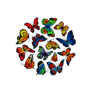 矢量装饰蝴蝶背景插图图片
