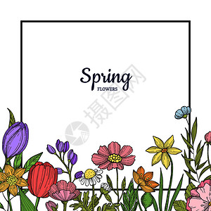 春季手绘夏季花卉和绿叶图案背景图片