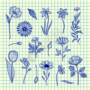 手绘夏季花卉和绿叶图案背景图片