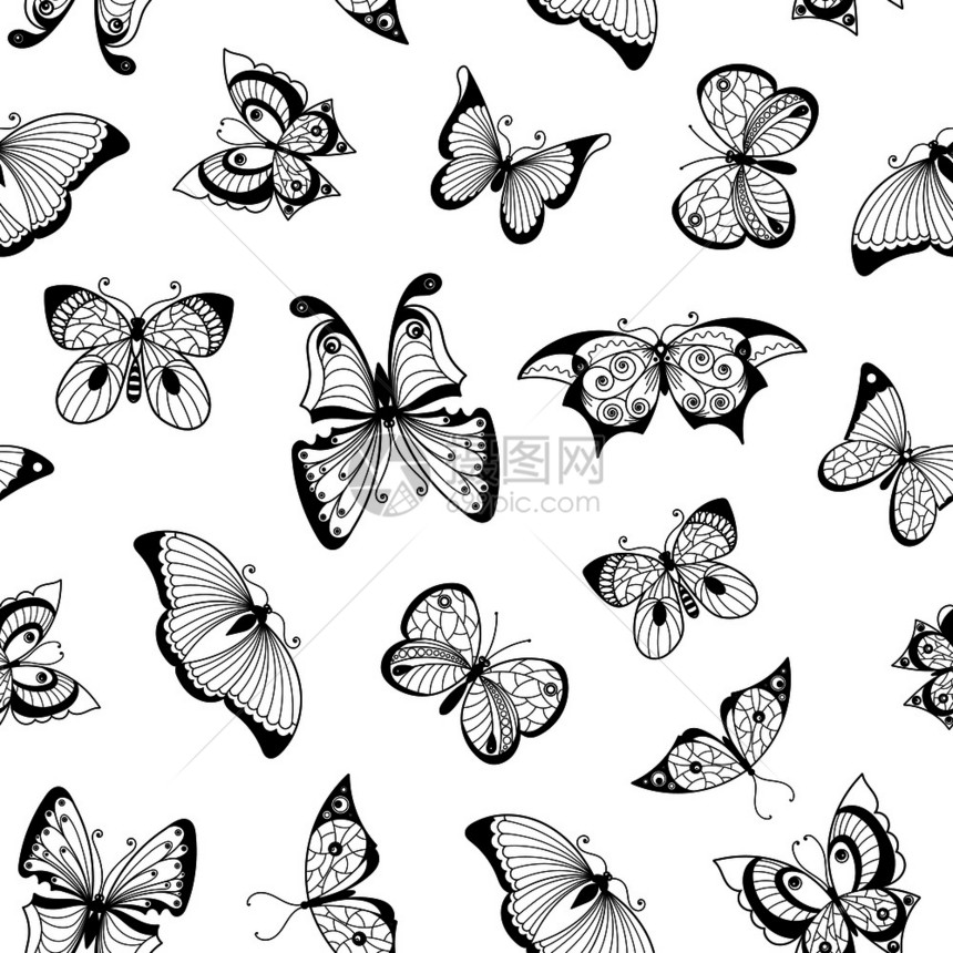 黑白手绘昆虫蝴蝶图案背景图片