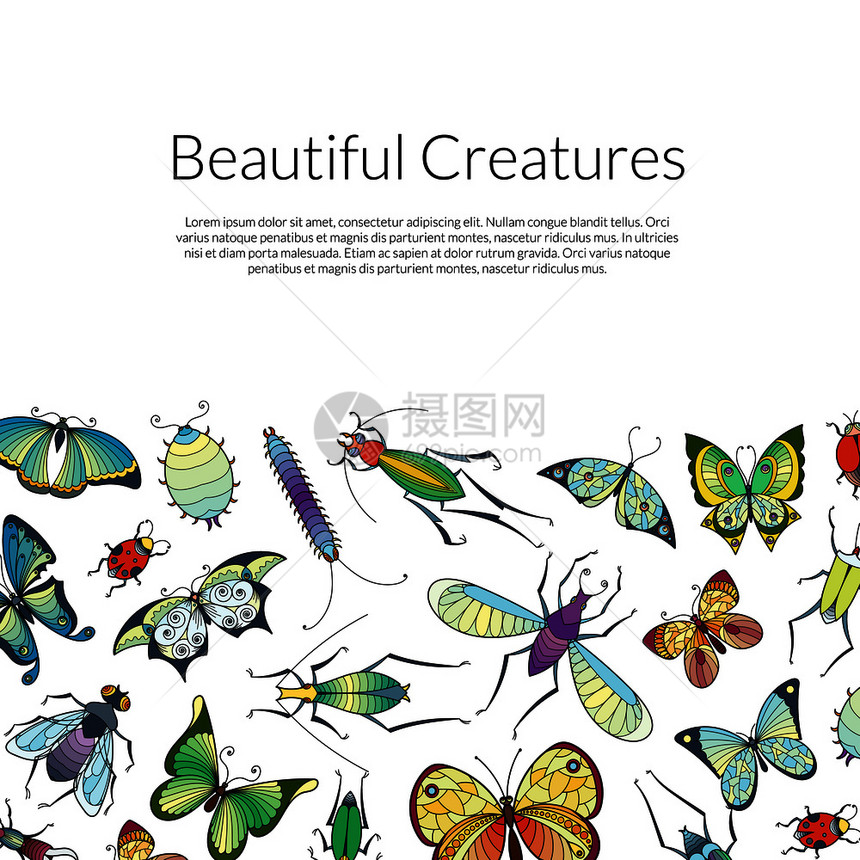 矢量手绘彩色昆虫背景图片