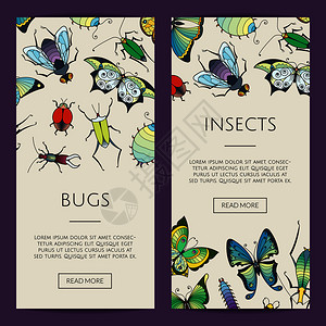 矢量手工绘制昆虫的网络横幅和站海报模板插图图片