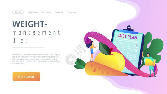 与蔬菜水果营养饮食体重管理个人服务概念插画海报图片